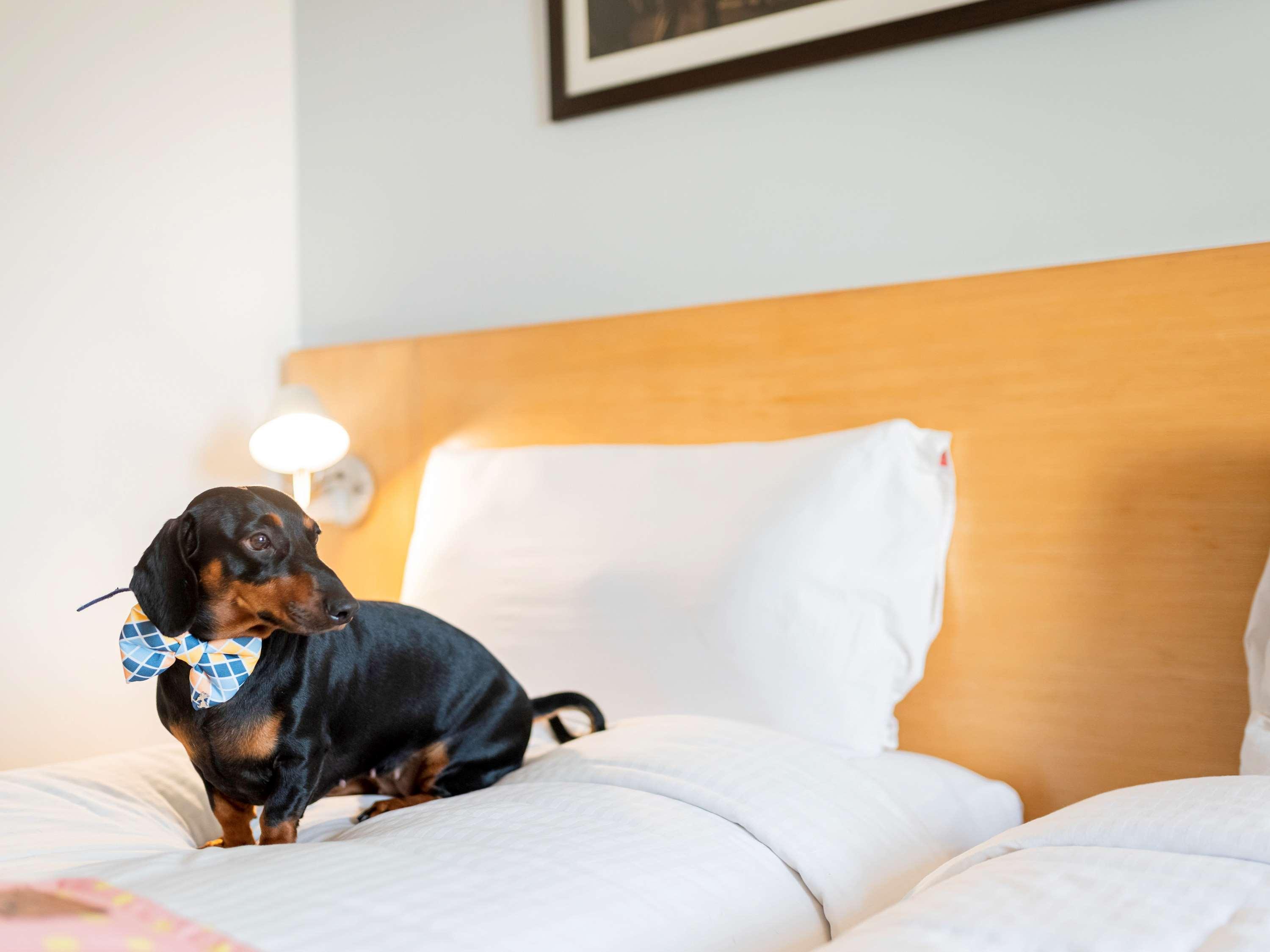 Ibis Bengaluru City Centre - An Accor Brand Eksteriør bilde